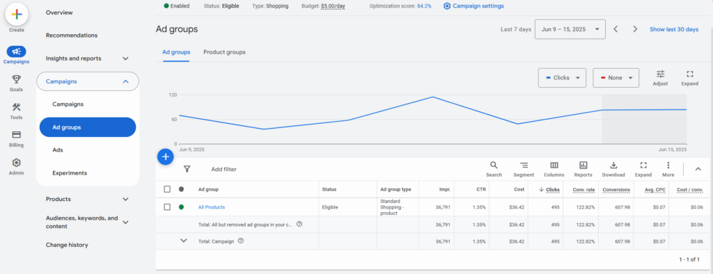 Google Merchant Center Shopping Campaign